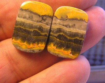 Bumblebee Jasper Freeform Designer Cabochons Pair
