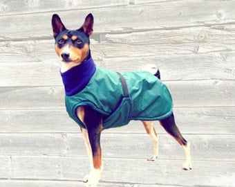 Basenji Winter Coat, custom made with tummy panel for your dog
