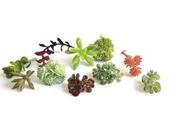 Faux succulents, mini succulents, artificial succulent, succulent plants, succulent cutting, boutonniere, succulent terrarium, wedding favor