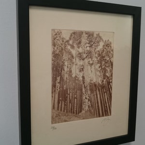 Buyer photo shd117, who reviewed this item with the Etsy app for Android.