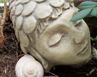Postcard peaceful Bhudda meditation artcard photography snail