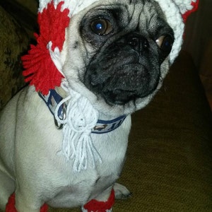 Pugs-Sunhat For Dogs-Hats For Dogs-Pugs In Hats-Novelty Dog