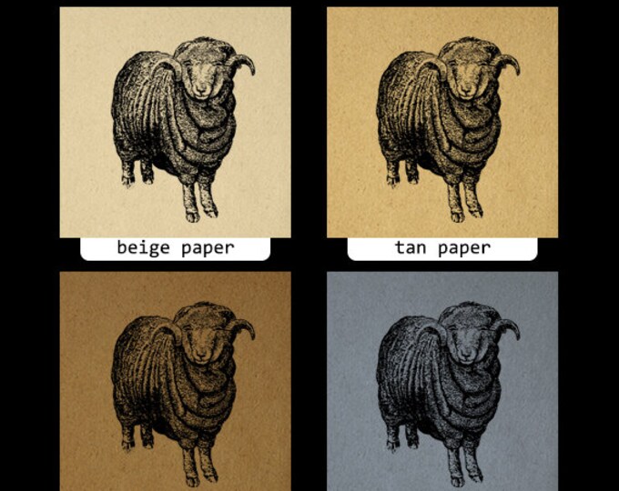 Printable Graphic Merino Sheep Digital Download Image Antique Clip Art Jpg Png Eps HQ 300dpi No.612