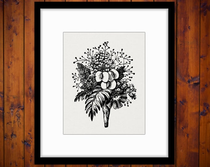 Flower Bouquet Graphic Image Download Ornament Printable Digital Antique Clip Art Jpg Png Eps HQ 300dpi No.2265