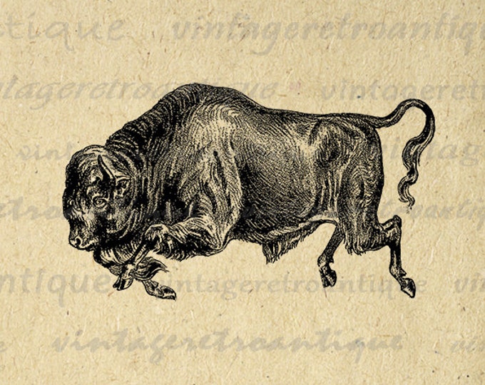 Digital Printable Wild Buffalo Image Animal Graphic Download Vintage Clip Art for Transfers Printing etc HQ 300dpi No.262