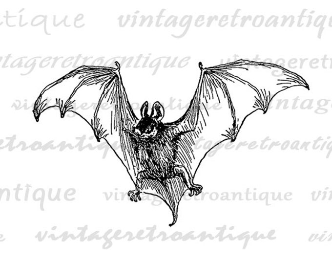 Antique Flying Bat Image Digital Graphic Halloween Printable Download T-Shirts Jpg Png Eps HQ 300dpi No.249