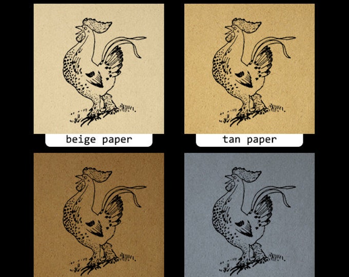 Digital Printable Rooster Download Image Graphic Illustration Vintage Clip Art Jpg Png Eps HQ 300dpi No.2371