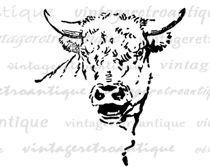 Digital Mad Cow Bull Image Graphic Horns Printable Animal Download Antique Clip Art Jpg Png Eps HQ 300dpi No.873