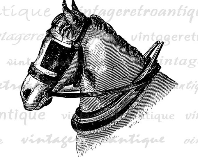 Horse Printable Image Download Graphic Horse Illustration Digital Antique Clip Art for Transfers Making Prints etc HQ 300dpi No.2327