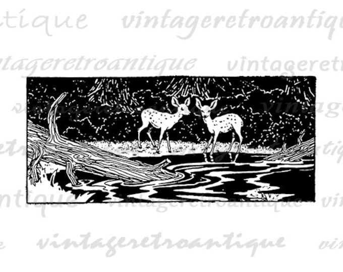 Two Deer Digital Printable Download Illustration Image Graphic Vintage Clip Art Jpg Png Eps HQ 300dpi No.2052