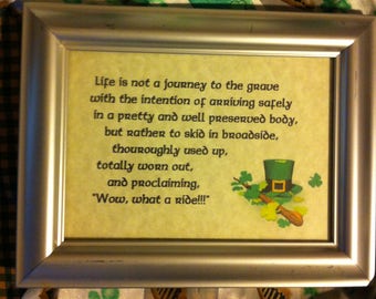 Life is not a journey to the grave frame