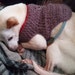 Crochet for Stinky Paws