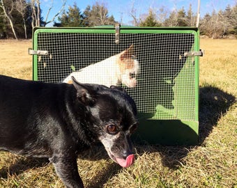 Go Green Vintage Pet Carrier SAVE 10% TODAY with coupon code MADCAPSIZED10