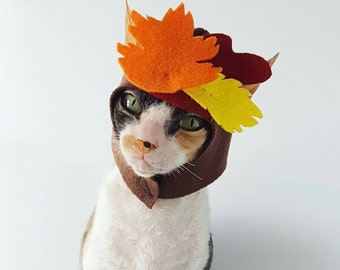 Image result for cats in fall leave costumes