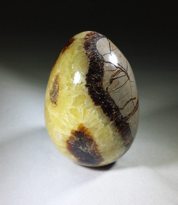 SEPTARIAN DRAGON Stone EGG Natural Stone Hand by AandSCrystals