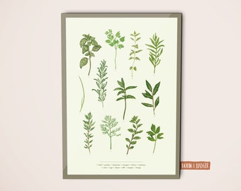 Watercolor herbs | Etsy