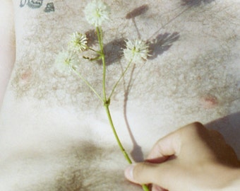 Like the Last Time Photo Book