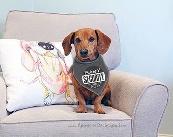 Baby Security Bandana, Big Brother Dog, Pregnancy Announcement, Big Sister handkerchief, Photo Prop Pregnancy Announcement, Dog Baby Shirt