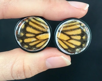 3/4" Butterfly Wing Ear Plugs Gauges Pair 20mm, Wedding Plugs, Real Butterfly Jewelry, Moth Butterflies Body Jewelry: MAGIC EARS by {118}