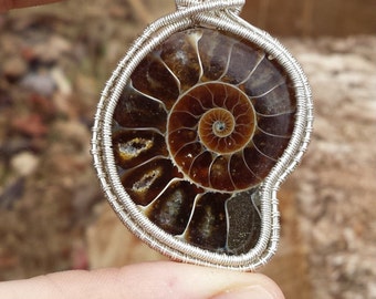 Ammonite Fine Silver Wire Wrapped Pendant