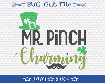 Saint Patricks Day SVG / St Patrick's Day SVG Cut File / St Paddys SVG / Mr Pinch Charming / Little Boy Svg
