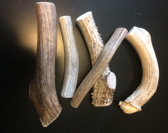 Elk and Deer whole antler dog chews by the pound-save big!