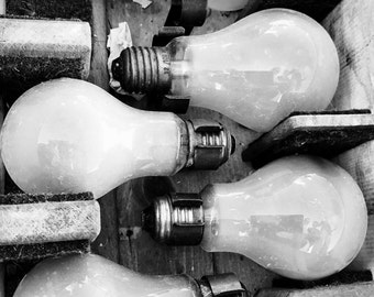 Colony of light bulbs...