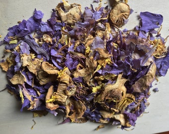 Blue Lotus, Nymphaea caerulea (Cut and Sifted) "Baby Blue Thai" ~ Sacred Herbs and Spices from Schmerbals Herbals