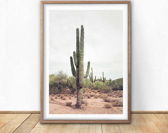 Cactus Wall Art cactus wall art | etsy Cactus Wall Art cactus wall art | etsy