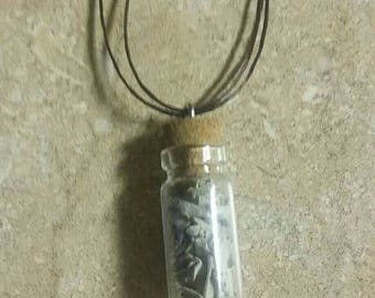 Sage - White Mountain Sage Glass Vial Necklace - Protection Amulet
