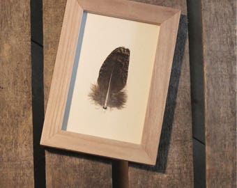 Peacock feather under framework / unique / the pen box