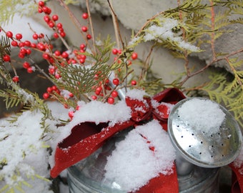 Winter in The Garden