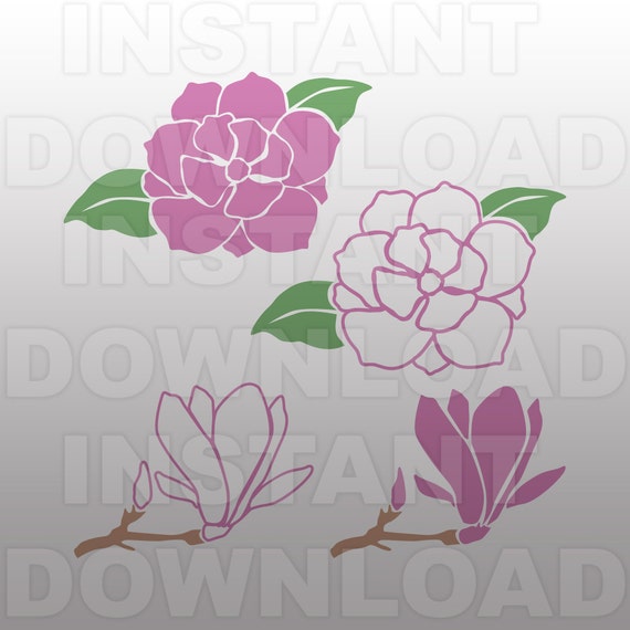 Free Free 67 Magnolia Flower Svg Free SVG PNG EPS DXF File