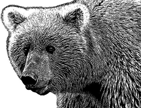 Grizzly Bear Head Printable Art Digital Graphics Image