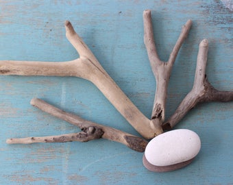 Set of 4 Natural Y , Wishbone Driftwood Pieces , coastal crafts , Drift Wood Craft Supply DY4