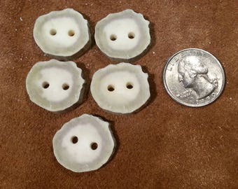 Deer Antler Buttons - Matched - Lot No. 170505-Y