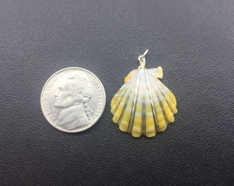 0002 Sunrise Shells Hawaii Pendant