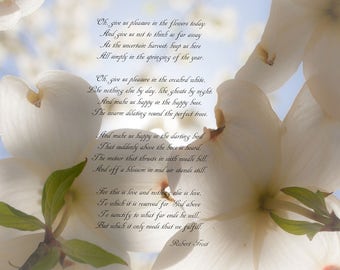 5x7 Print Dogwood in Spring / Robert Frost Poem A Prayer In Spring