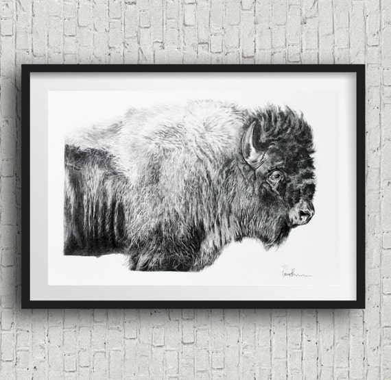 Buffalo pencil Art Print by Pierre Bolouvi 20'x30