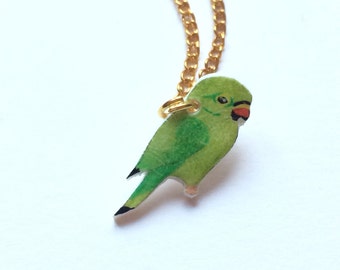 Hand drawn Parakeet Parrot Necklace. Bird Necklace. Parrot Jewellery
