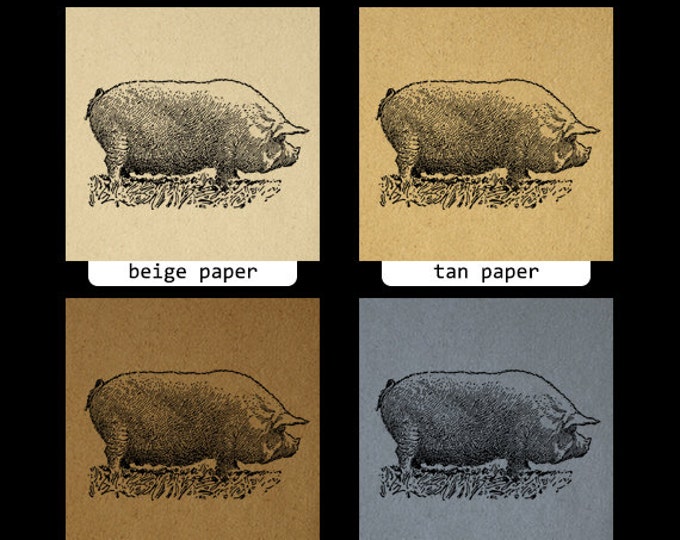 Antique Pig Digital Graphic Farm Animal Art Digital Pig Image Illustration Download Printable Vintage Clip Art Jpg Png Eps HQ 300dpi No.3255
