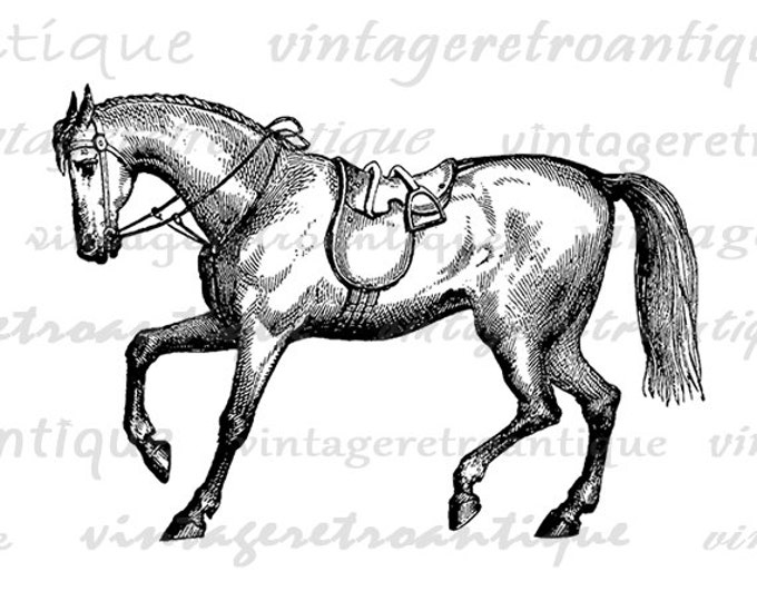 Horse with Saddle Printable Image Graphic Download Digital Artwork Vintage Clip Art Jpg Png Eps HQ 300dpi No.2352