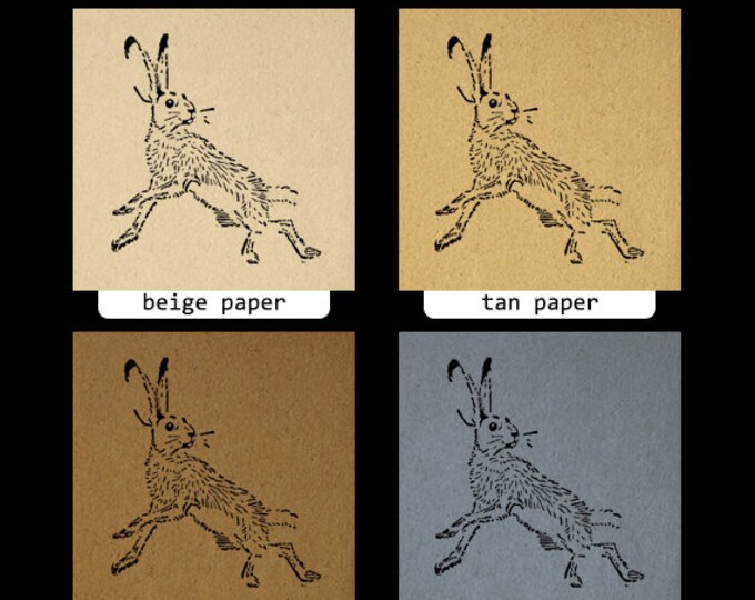 Printable Image Wild Hare Download Rabbit Graphic Bunny Digital Jpg Png Eps HQ 300dpi No.067
