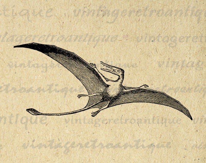 Printable Image Pterodactyl Flying Dinosaur Graphic Digital Download Antique Clip Art Jpg Png Eps HQ 300dpi No.2707