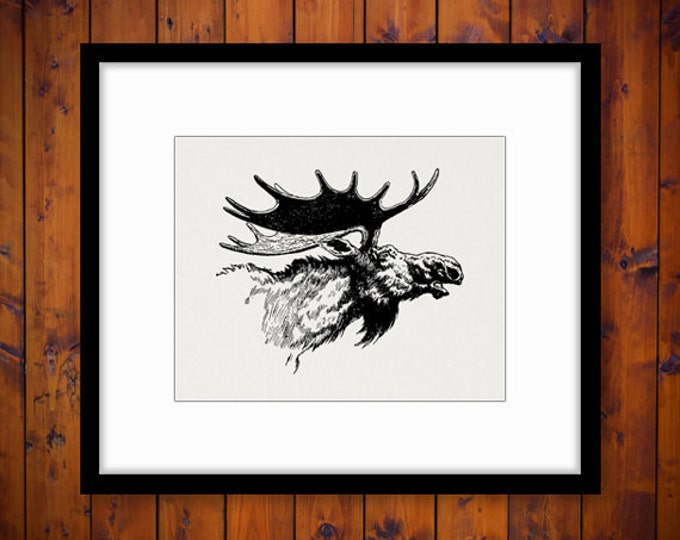 Antique Moose Illustration Digital Printable Graphic Moose Image Download Vintage Clip Art Jpg Png Eps HQ 300dpi No.3585