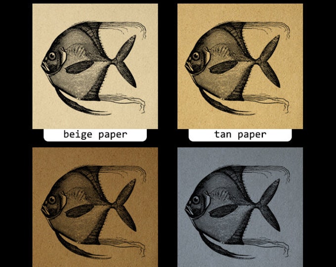 Antique Fish Graphic Printable Image Download Ocean Sea Digital Vintage Clip Art Jpg Png Eps HQ 300dpi No.580