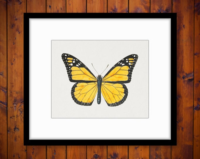 Printable Image Color Butterfly Illustration Download Digital Graphic Antique Clip Art HQ 300dpi No.3895