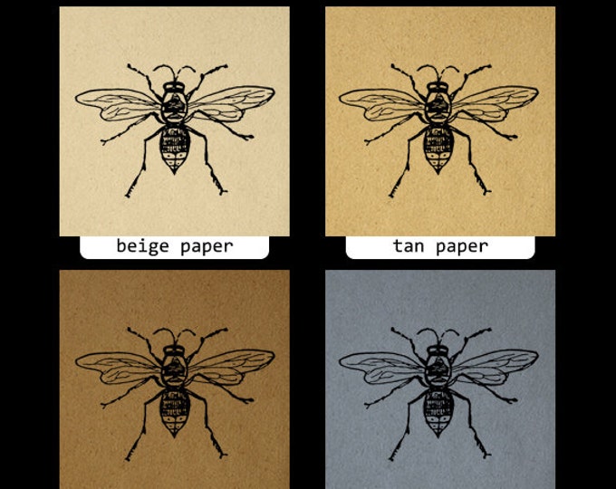 Digital Printable Bee Graphic Insect Download Illustration Image Vintage Clip Art Jpg Png Eps HQ 300dpi No.3526