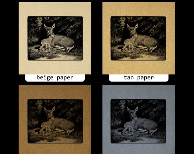 Printable Graphic Deer with Fawn Digital Antique Image Download Vintage Clip Art Jpg Png Eps HQ 300dpi No.765