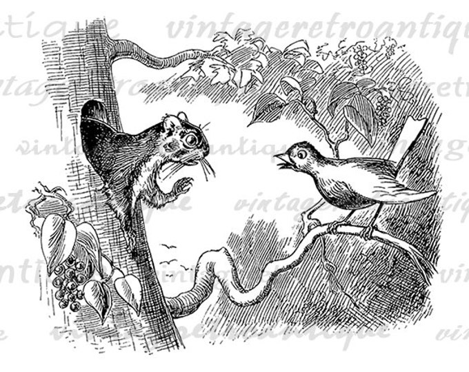 Printable Digital Squirrel and Bird Download Cute Image Graphic Vintage Clip Art Jpg Png Eps HQ 300dpi No.3520